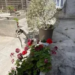 Le Patio Cathare *