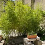 Le Patio Cathare Hotell Carcassonne
